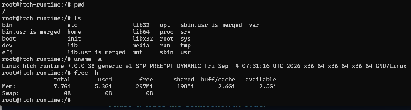 Muse terminal showing the root prompt and read-only pwd, ls, uname, and free checks
