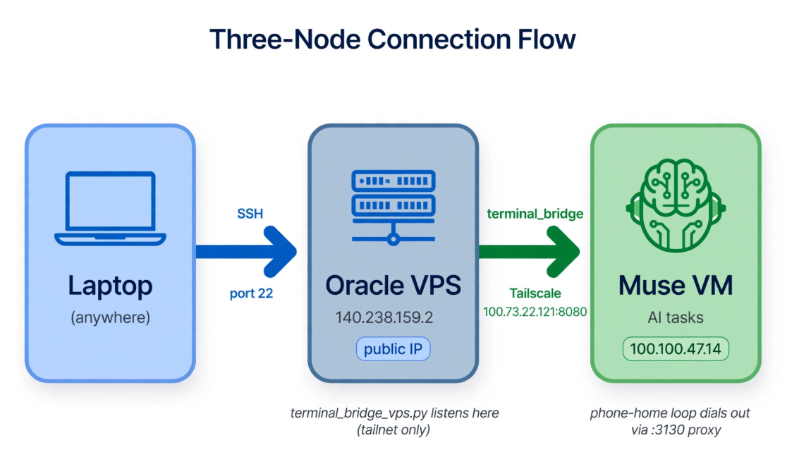 Three-node connection flow from a laptop through the Oracle VPS to the Muse VM