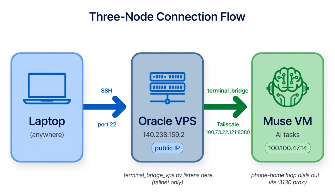 Three-node connection flow from a laptop through the Oracle VPS to the Muse VM