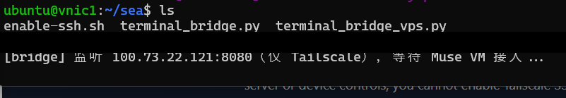 VPS terminal showing the bridge waiting for Muse; the launch command is obscured