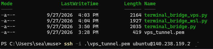 Windows PowerShell showing vps_tunnel.pem in the current directory; the VPS address is masked
