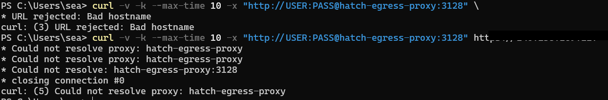 Windows PowerShell curl test failing to resolve the configured proxy hostname, with the VPS address redacted