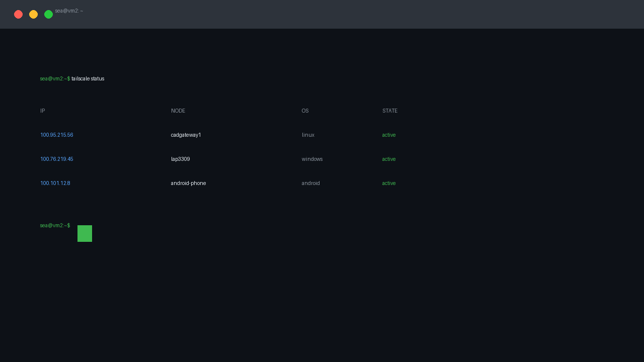 Terminal showing tailscale status with the home server on the same tailnet