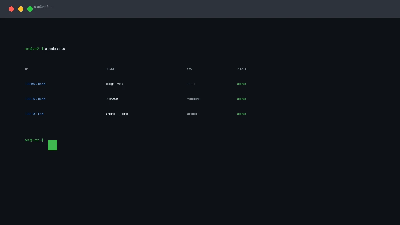 Terminal showing tailscale status with the home server on the same tailnet