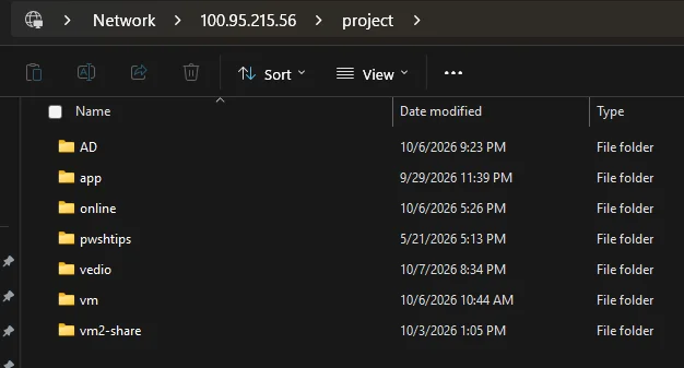 Windows File Explorer browsing the Samba share at Network > 100.95.215.56 > project