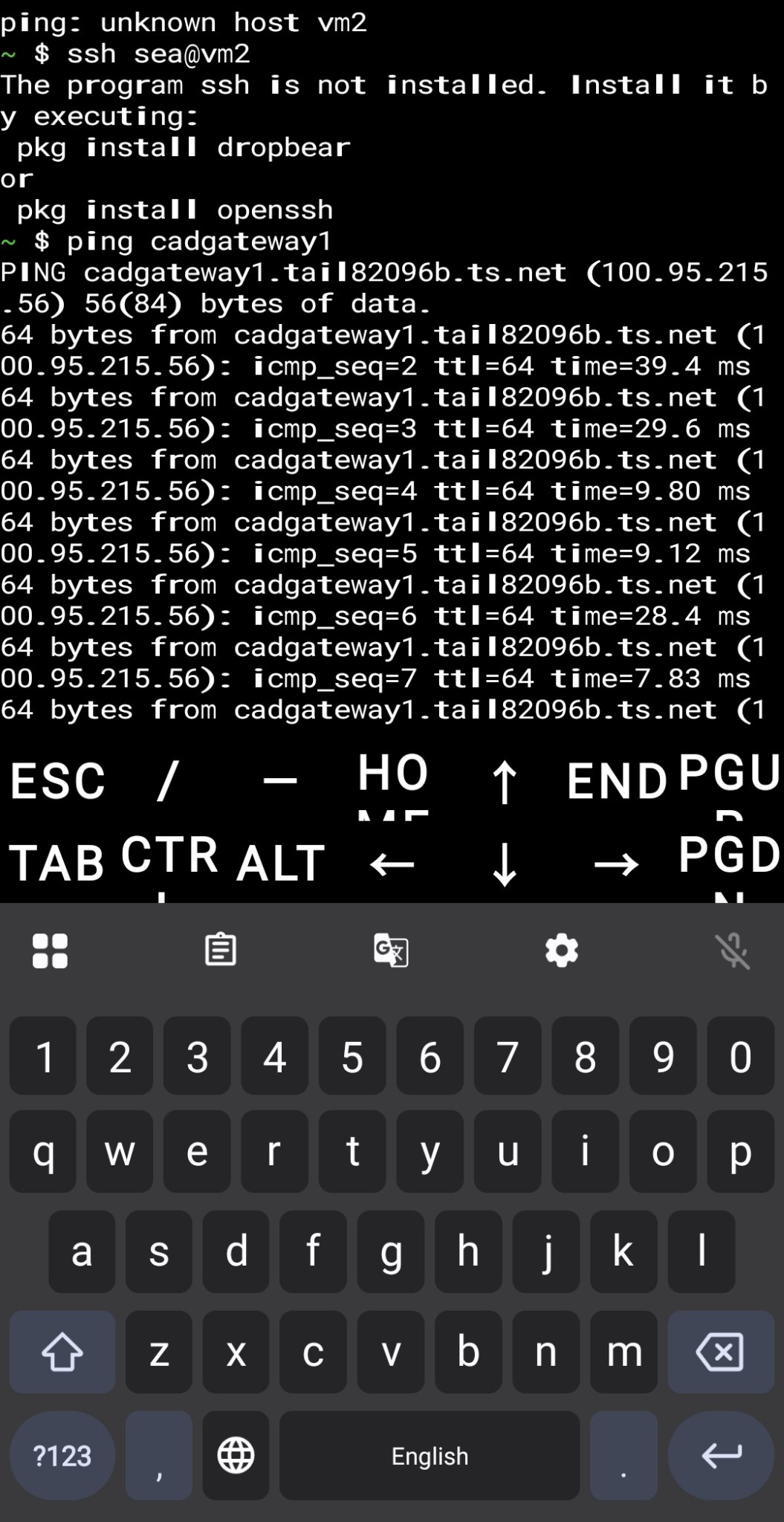 Termux ping test: vm2 fails, cadgateway1 resolves