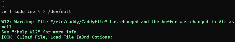 Vim W12 reload warning